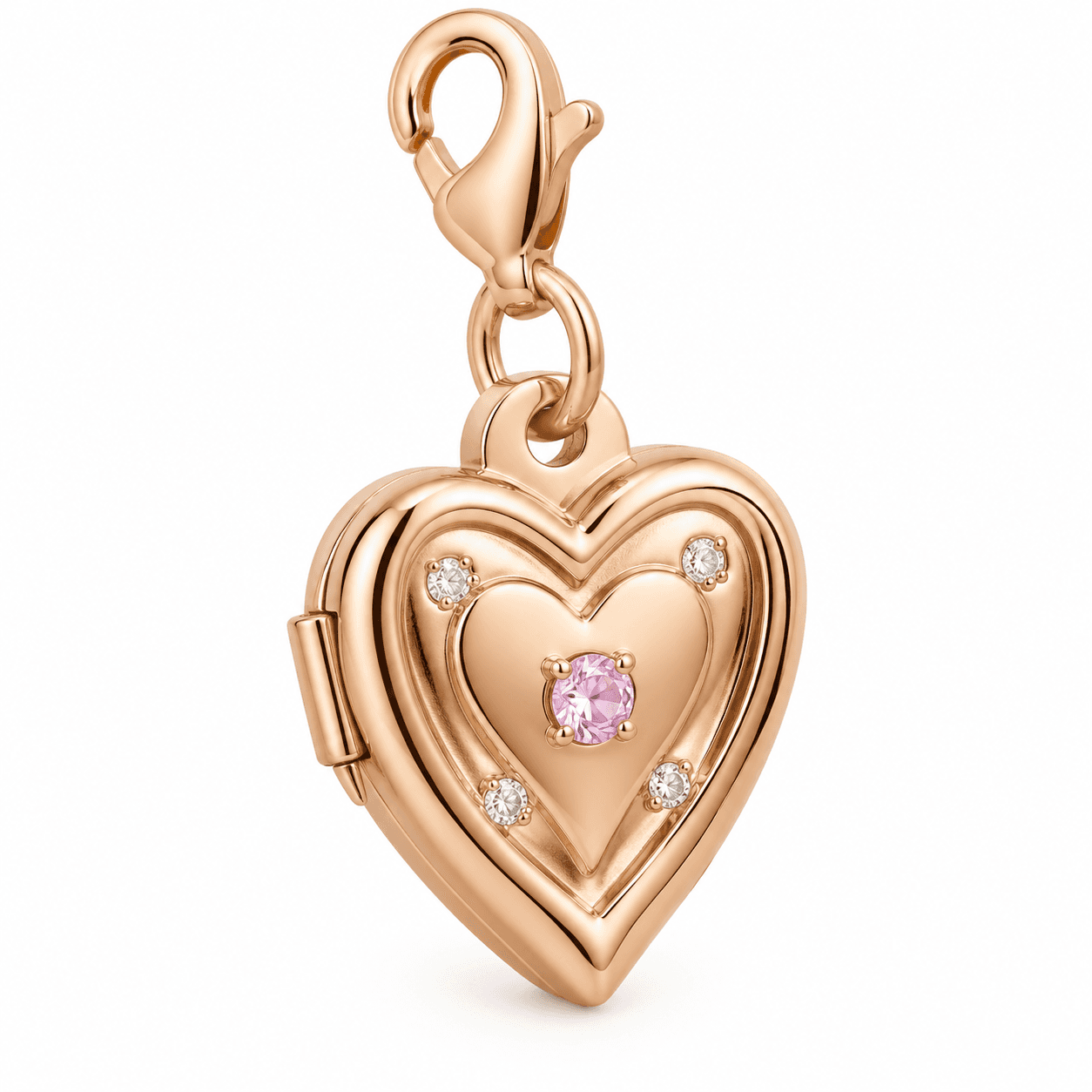 Secret Bloom Rose Memory Locket 316L Stainless Steel Charm