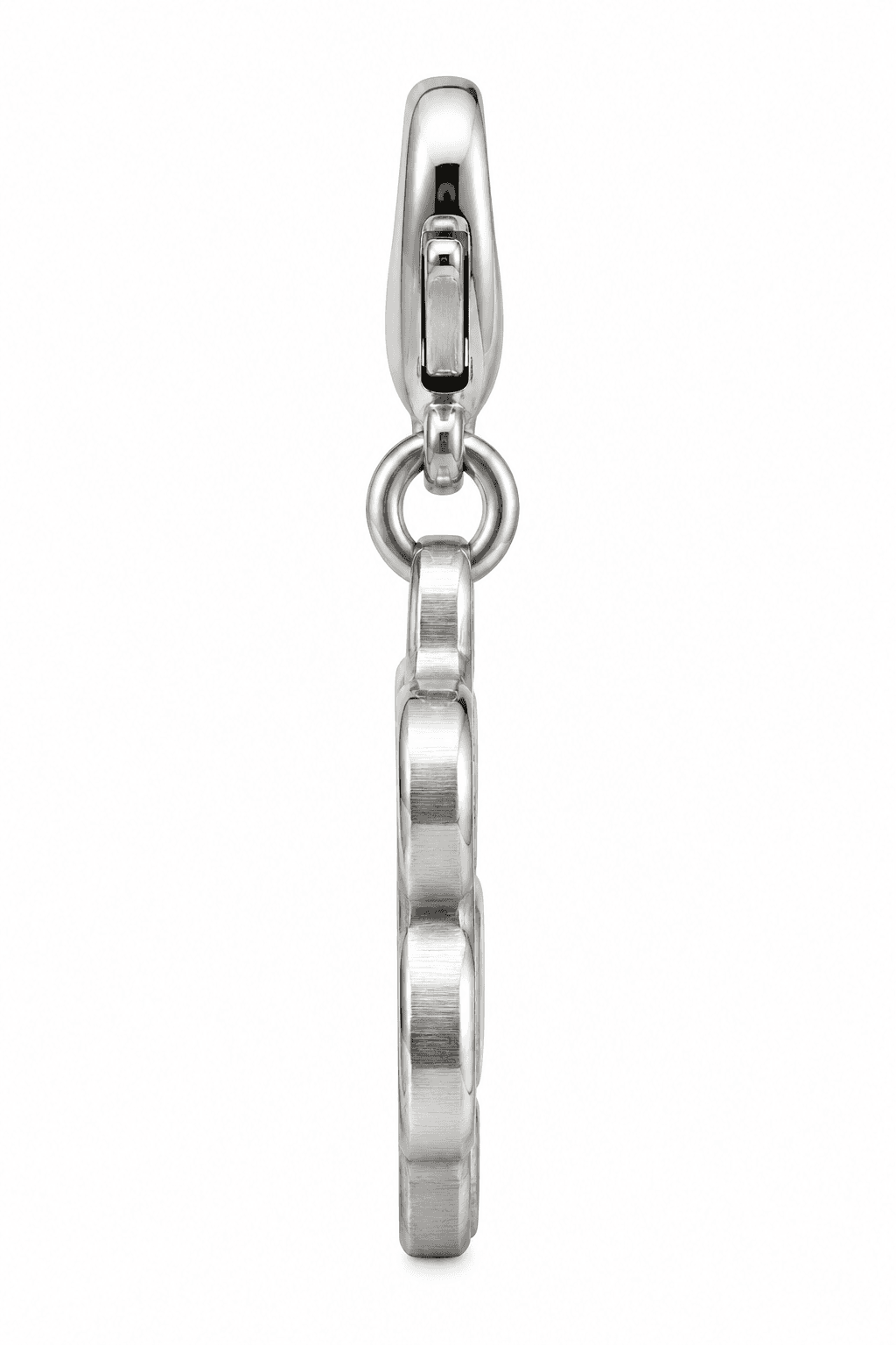 PawPulse Abstract Charm 2