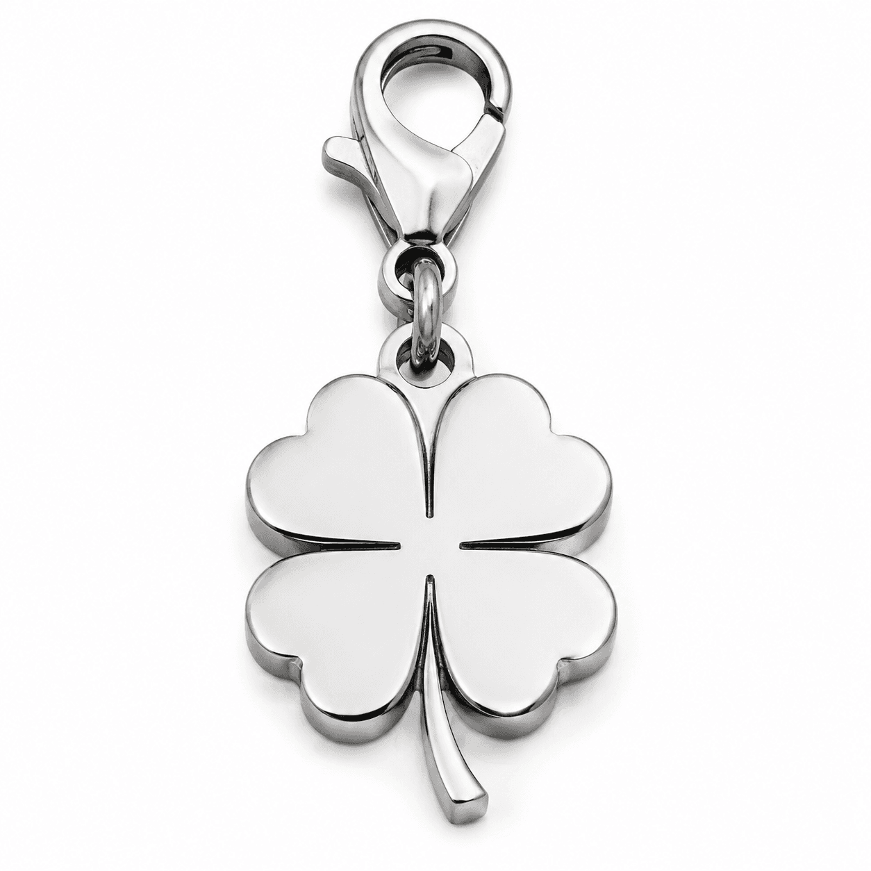 Guide Vet Stainless Steel Everywhere Belt Bag Charm Keychain lululemon