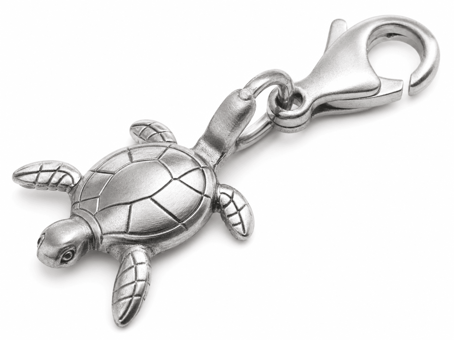 Shell Echo Circle Turtle Openwork Charm 3