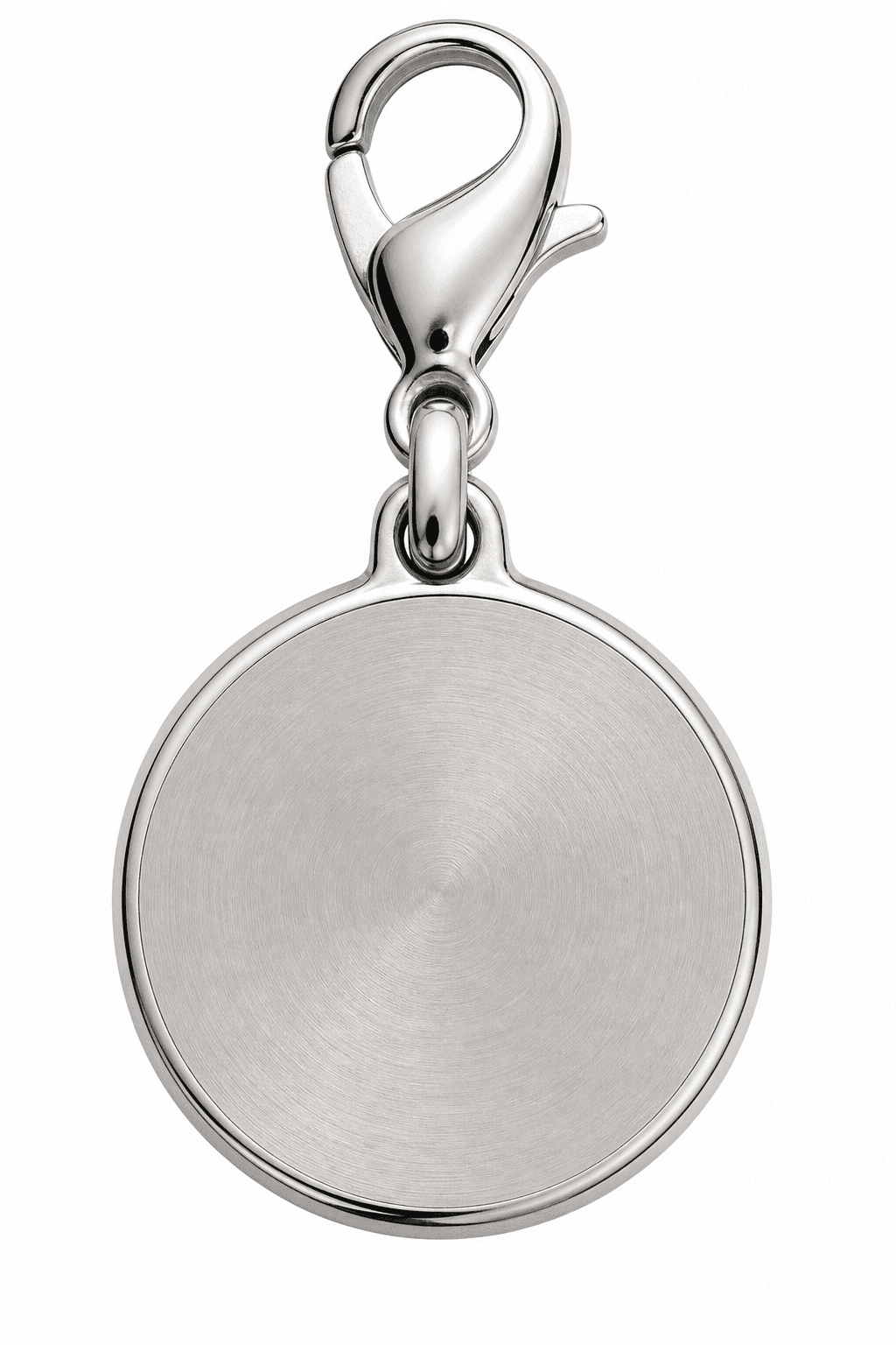 Labrador Eye Halo Charm (316L Stainless Steel) 4