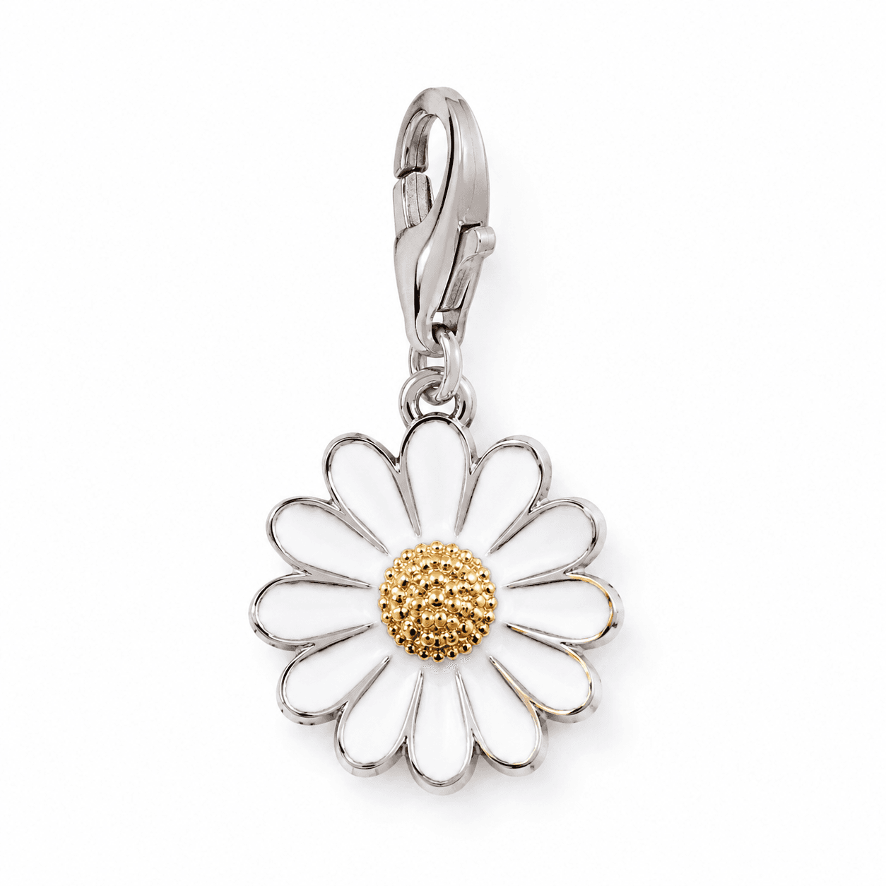 Shop lisa charm daisy bras Collection Hub for Retail Stores