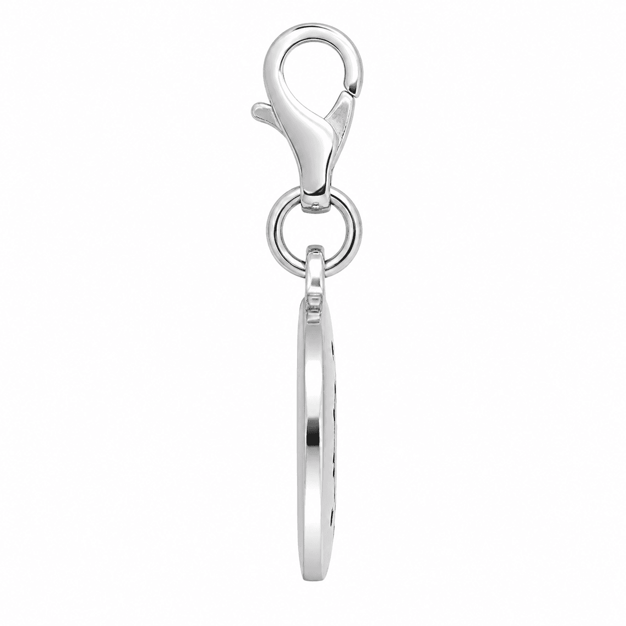 Gunmetal Zodiac Compass Disc Moonstone Constellation Charm 2