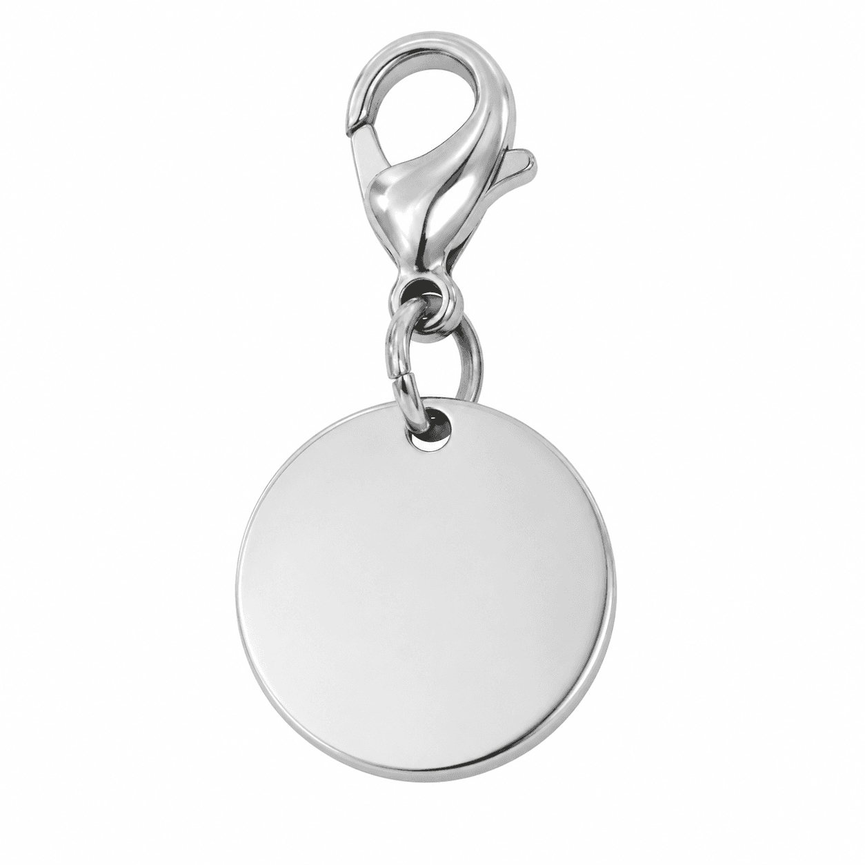 Gunmetal Zodiac Compass Disc Moonstone Constellation Charm 4