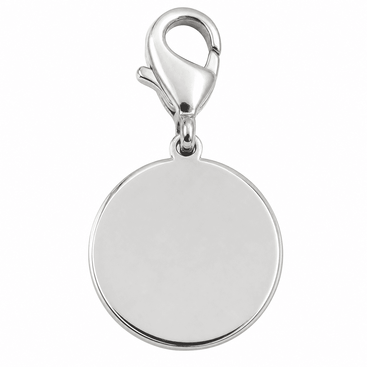 Zodiac Orbit Circle Charm 4